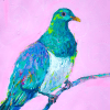 NZ Kereru Painting for sale.
